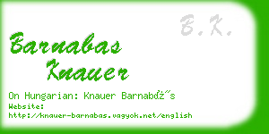 barnabas knauer business card